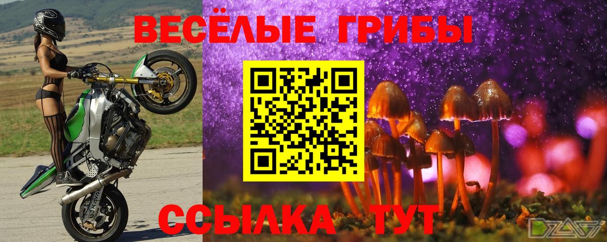 Галлюциногенные грибы MAGIC MUSHROOMS Долгопрудный