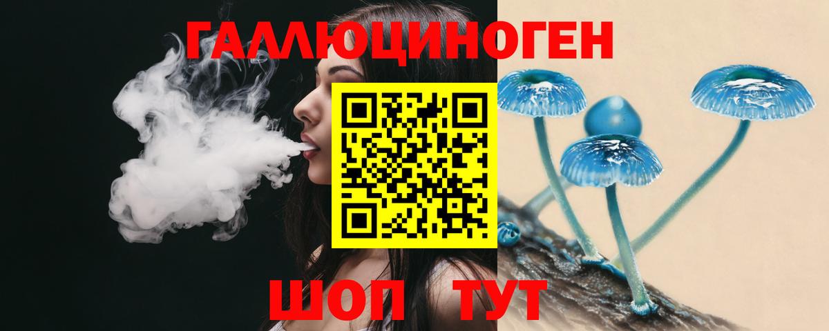 Псилоцибиновые грибы Psilocybine cubensis  Псилоцибиновые грибы мицелий  Долгопрудный  Вход с VPN 